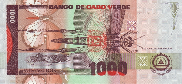 CVE-NEW-1000-2002-r